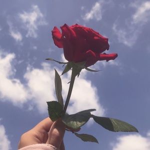 Meet your Posher, Mizna